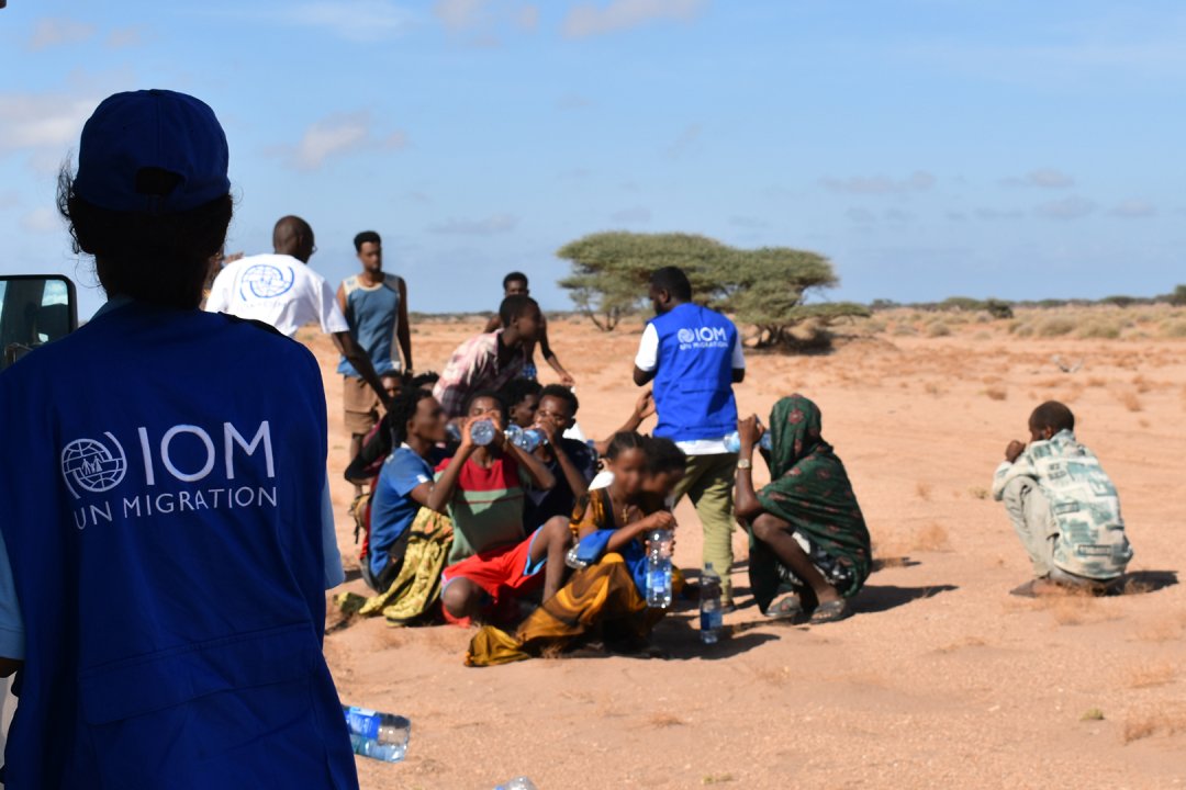More than 139 migrants died after a boat carrying 305 people capsized off the coast of Djibouti on 8–9 October 2026. IOM is providing survivors with healthcare, psychosocial support, food, shelter and protection services. Photo: IOM/ Mohamed Ibrahim