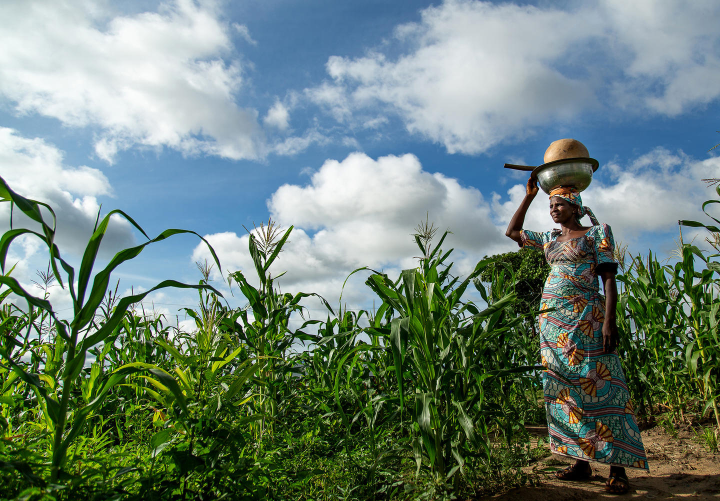 Nigeria shows how fragile progress can be. After significant reductions in multidimensional poverty during the 2010s, this progress reversed in the 2020s, with both the poverty rate and the number of people living in poverty increasing. Photo: UNDP