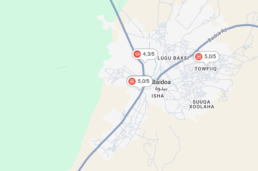 Google Maps
