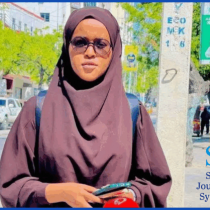 Horn Observer - Horn of Africa News & Information Hub