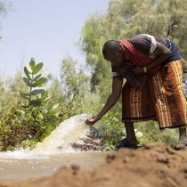 The world is in a water crisis. Agriculture can lead the way out of it