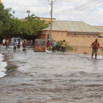 Floods, locusts and COVID-19: UN agencies warn Somalia's gains at risk from 'triple threat' - Horn Observer