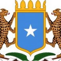 Somali Military Operation Targets Al-Shabaab, Killing Senior Officer